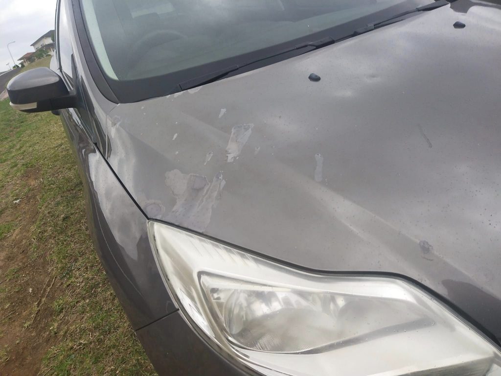 Deceased Estate Motor Vehicles
